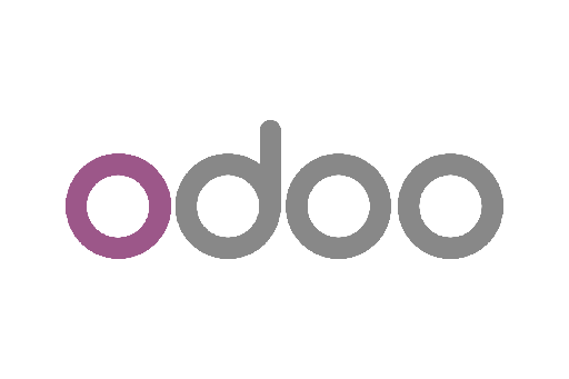 Odoo v17 Funcional Intermedio